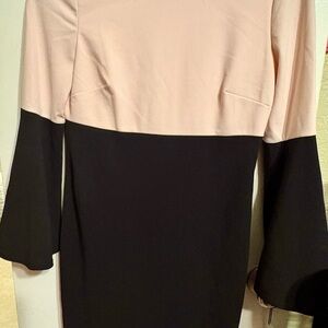 Calvin Klein Light Pink Dress